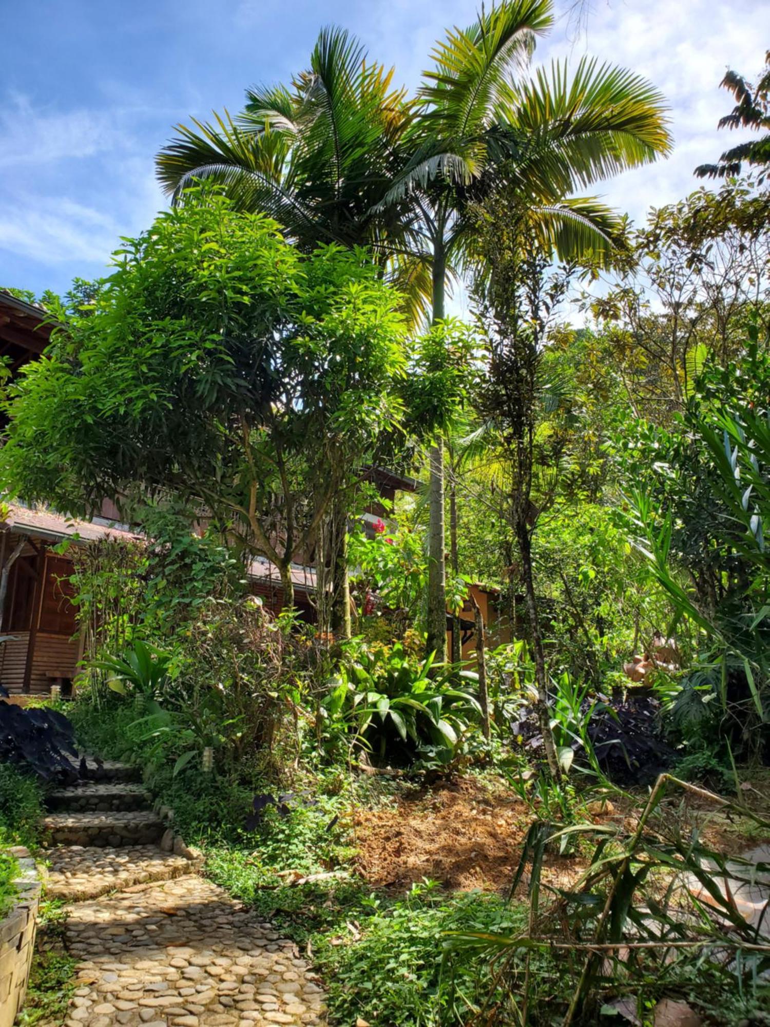 Ritmo Del Rio Villa San Rafael  Buitenkant foto