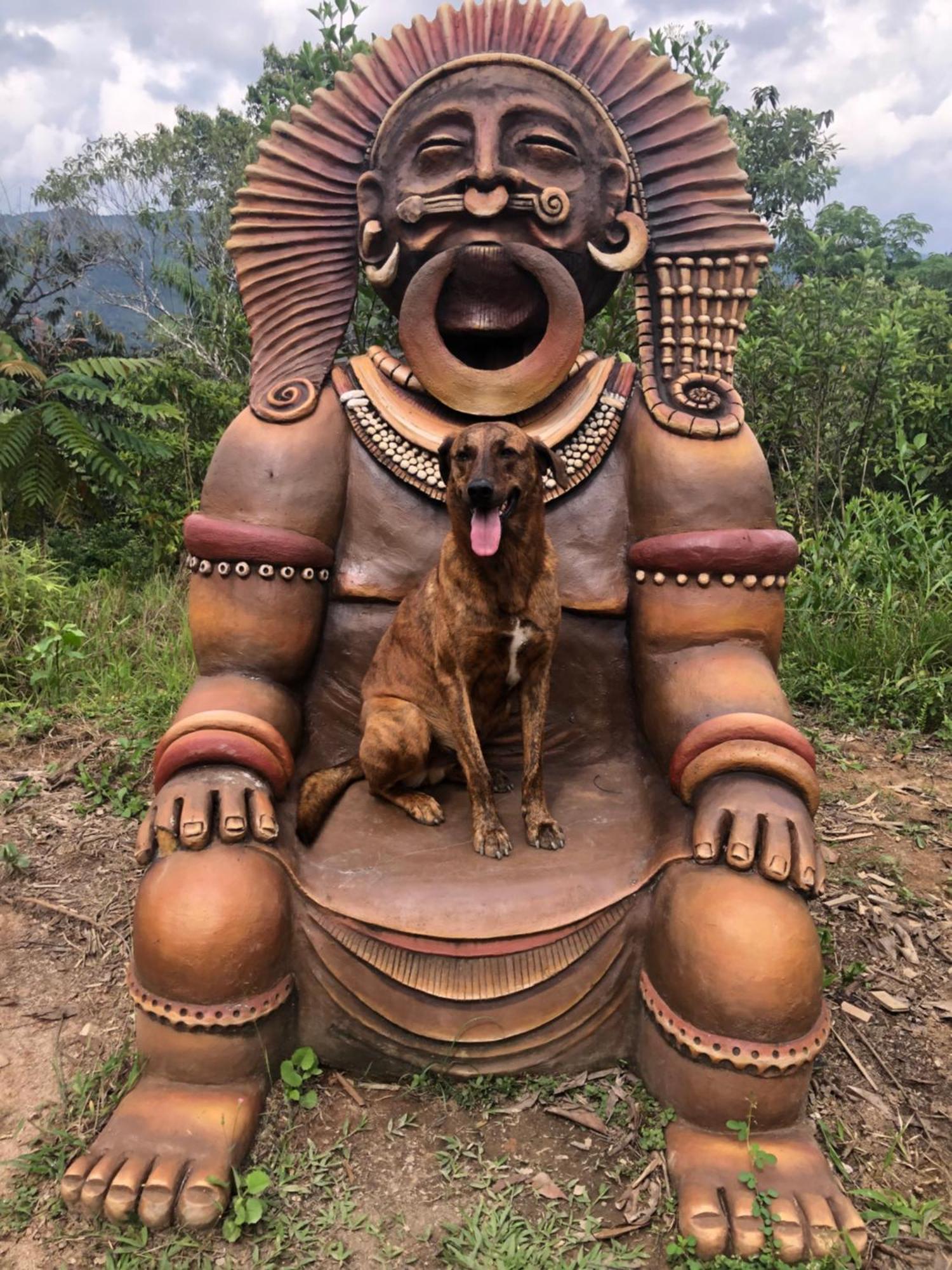Ritmo Del Rio Villa San Rafael  Buitenkant foto
