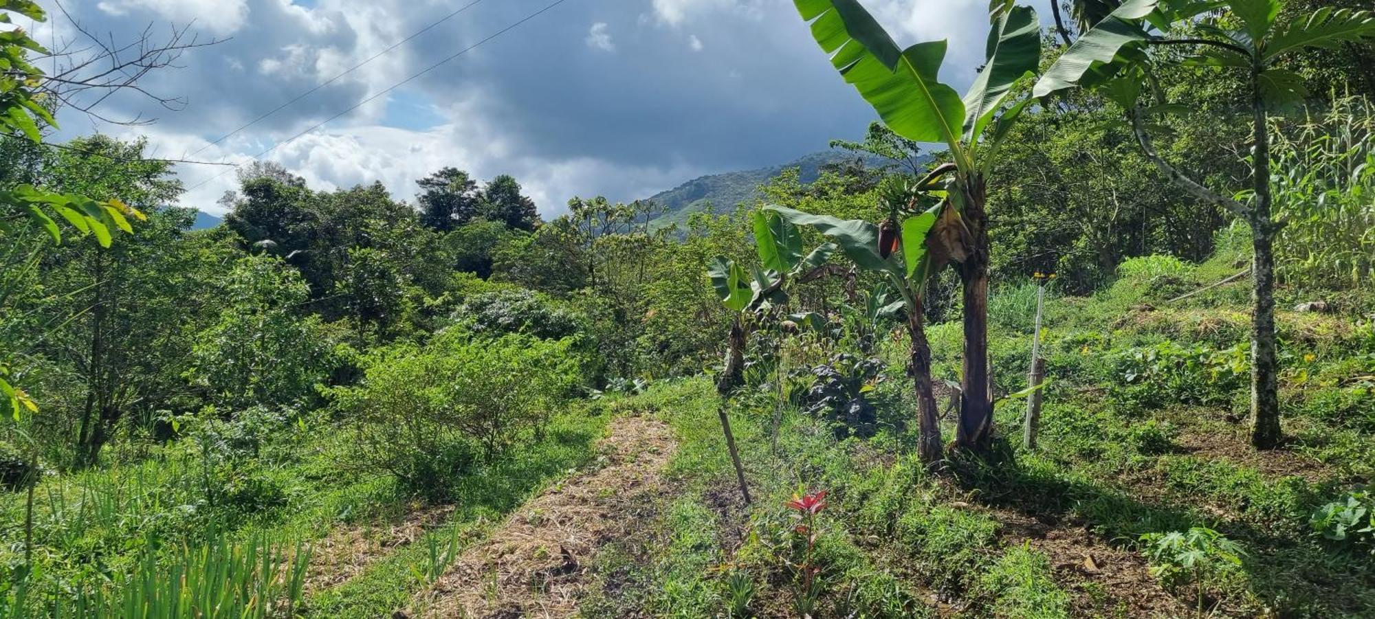 Ritmo Del Rio Villa San Rafael  Buitenkant foto